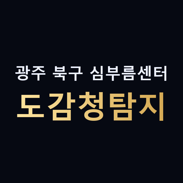 광주 북구 심부름센터 도감청탐지 맥가이버