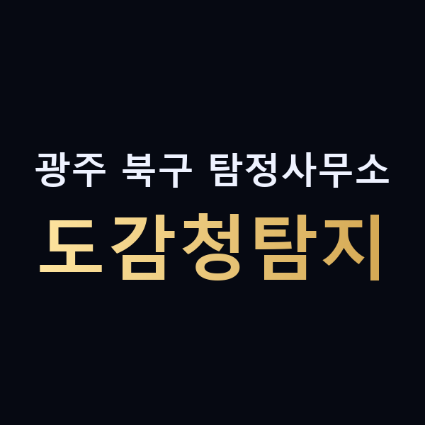 광주 북구 탐정사무소 도감청탐지 맥가이버