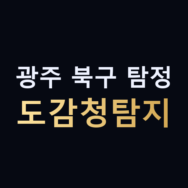 광주 북구 탐정 도감청탐지 맥가이버