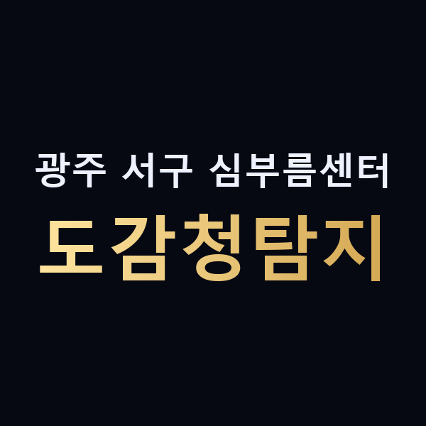 광주 서구 심부름센터 도감청탐지 맥가이버