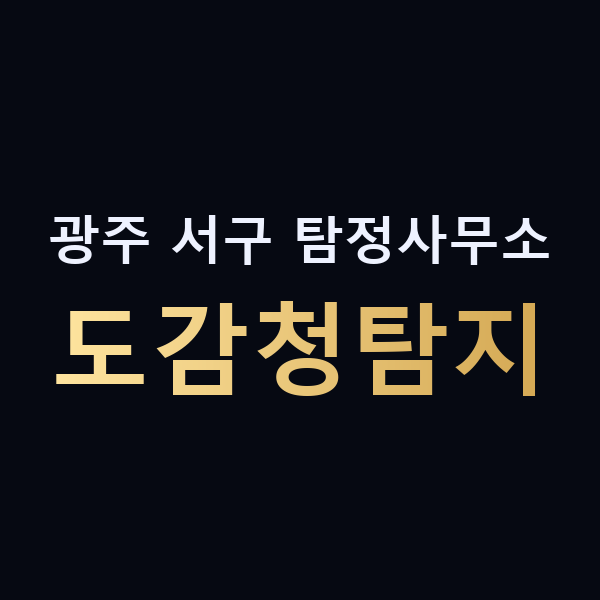 광주 서구 탐정사무소 도감청탐지 맥가이버