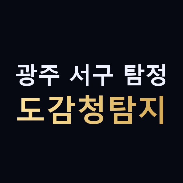광주 서구 탐정 도감청탐지 맥가이버