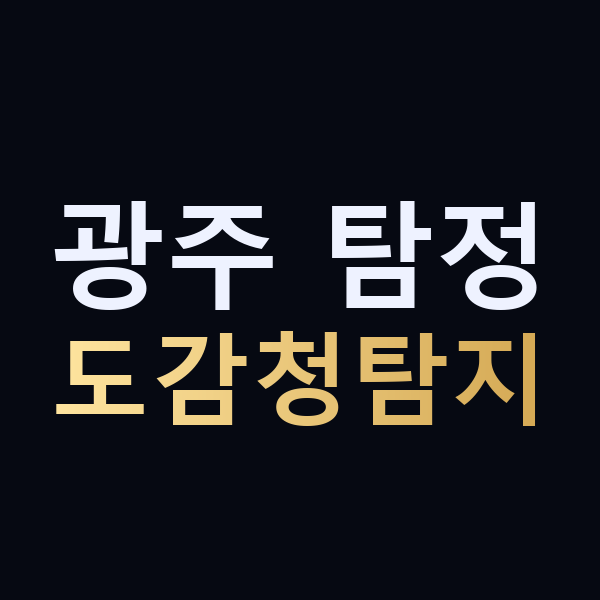 광주 탐정 도감청탐지 맥가이버