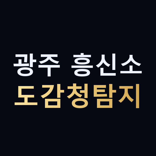 광주 흥신소 도감청탐지 맥가이버