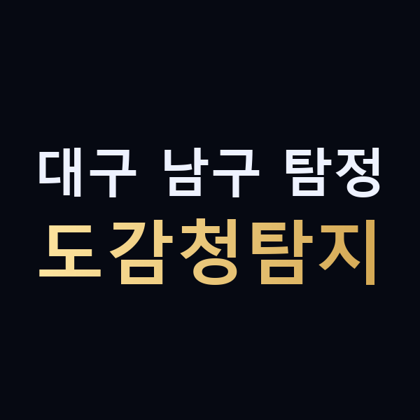 대구 남구 탐정 도감청탐지 맥가이버
