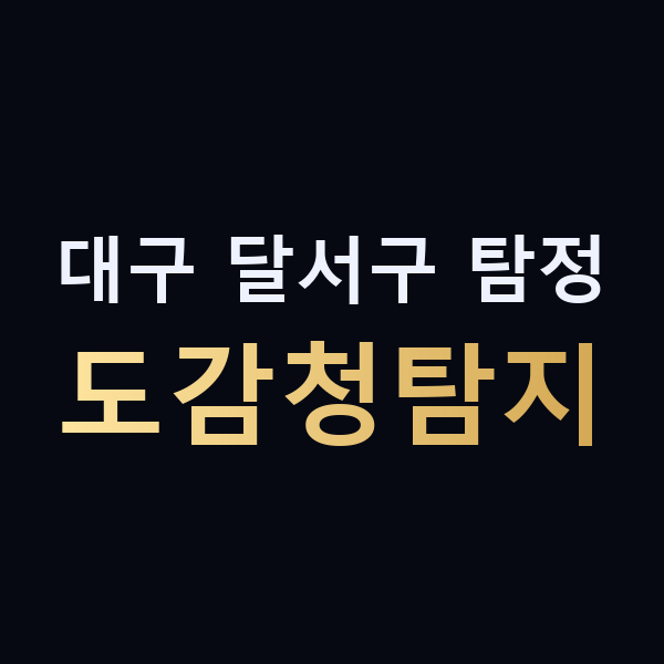 대구 달서구 탐정 도감청탐지 맥가이버