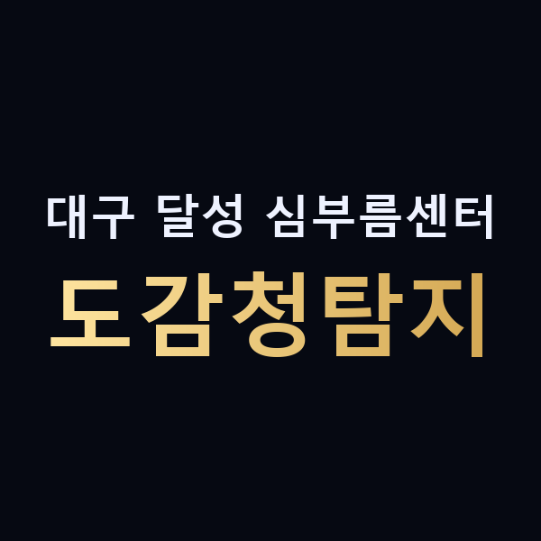 대구 달성 심부름센터 도감청탐지 맥가이버