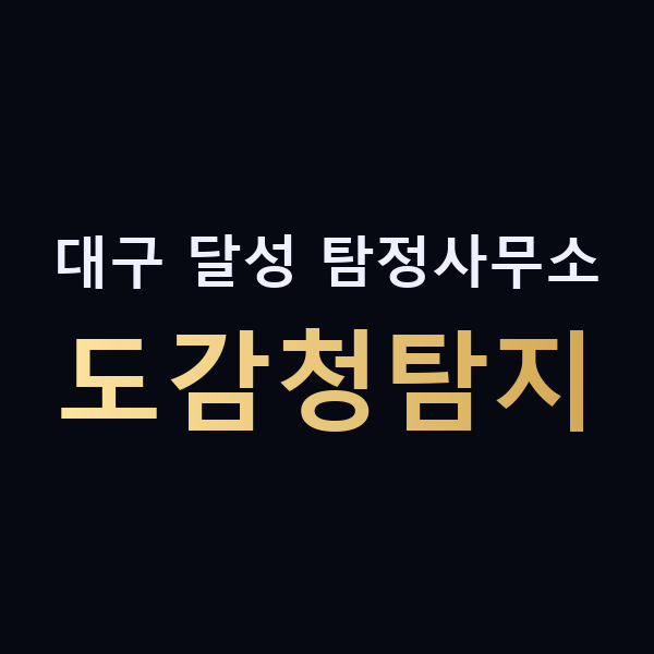 대구 달성 탐정사무소 도감청탐지 맥가이버