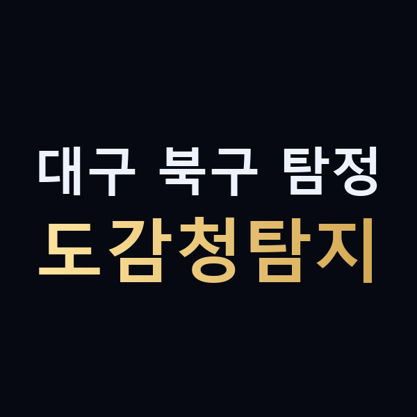 대구 북구 탐정 도감청탐지 맥가이버