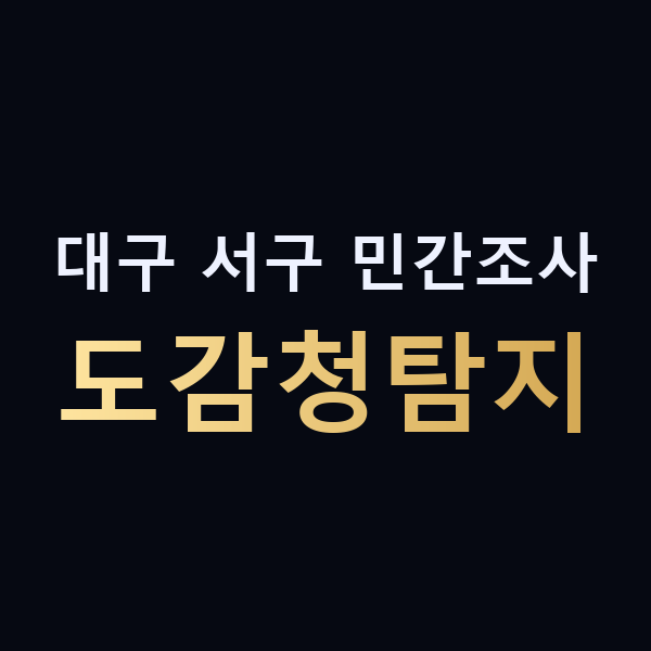 대구 서구 민간조사 도감청탐지 맥가이버