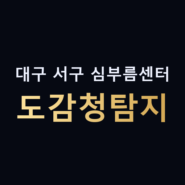 대구 서구 심부름센터 도감청탐지 맥가이버