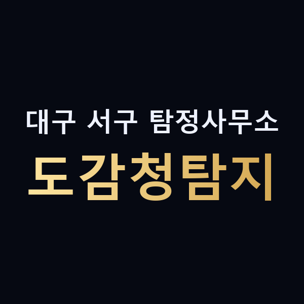 대구 서구 탐정사무소 도감청탐지 맥가이버