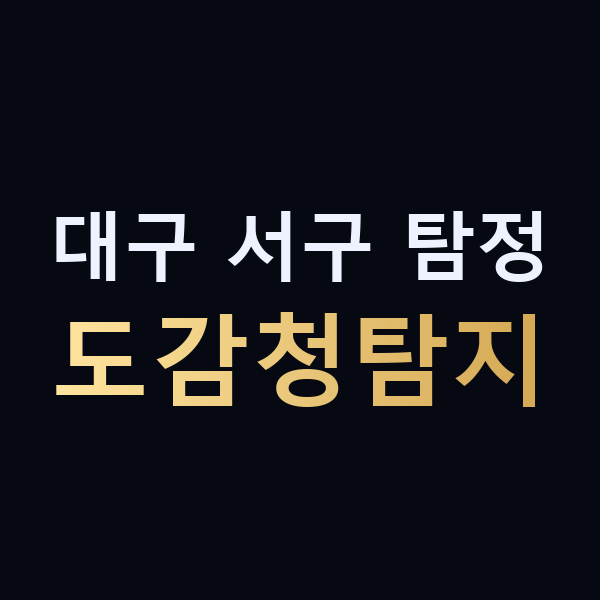 대구 서구 탐정 도감청탐지 맥가이버