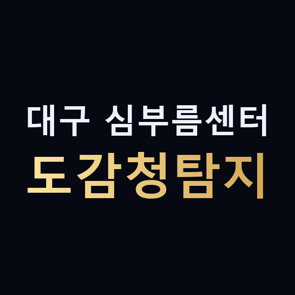 대구 심부름센터 도감청탐지 맥가이버