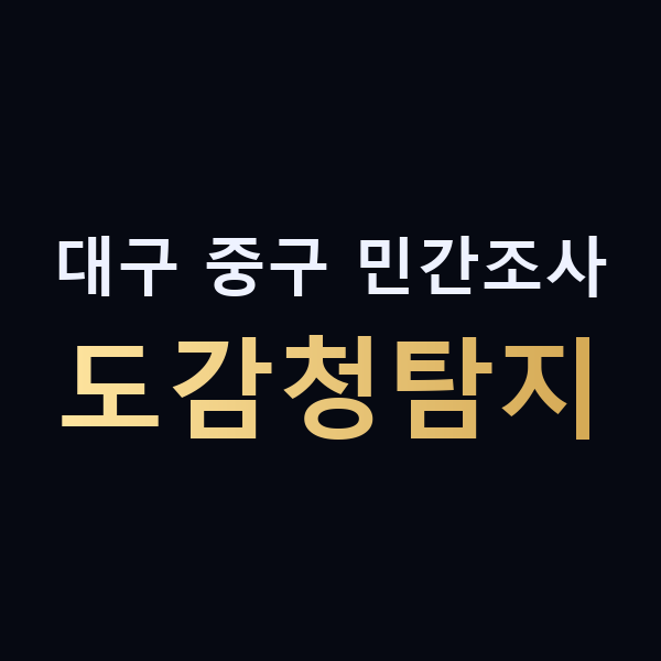 대구 중구 민간조사 도감청탐지 맥가이버