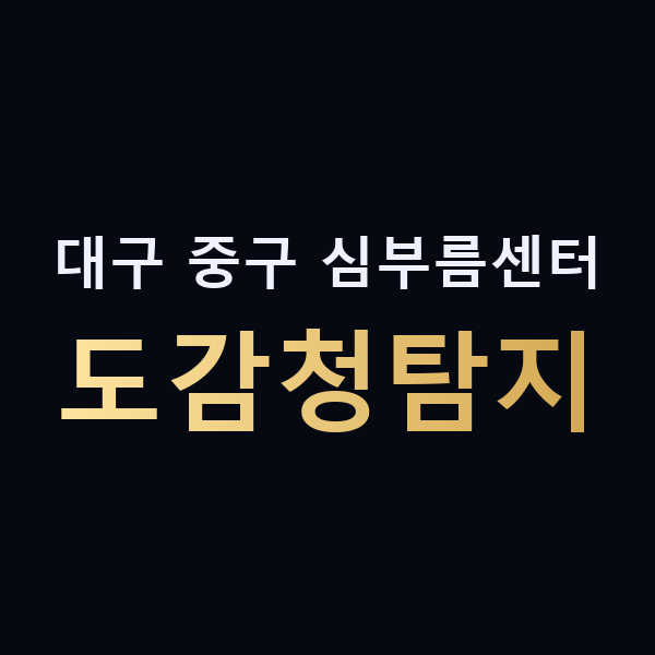 대구 중구 심부름센터 도감청탐지 맥가이버