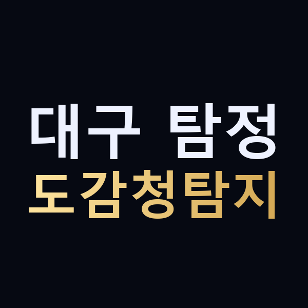 대구 탐정 도감청탐지 맥가이버