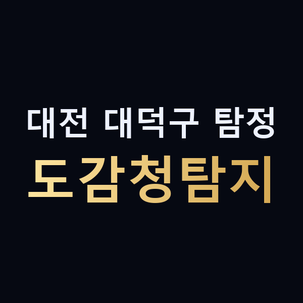 대전 대덕구 탐정 도감청탐지 맥가이버