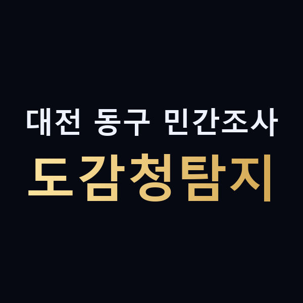 대전 동구 민간조사 도감청탐지 맥가이버