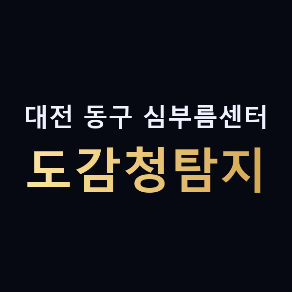 대전 동구 심부름센터 도감청탐지 맥가이버