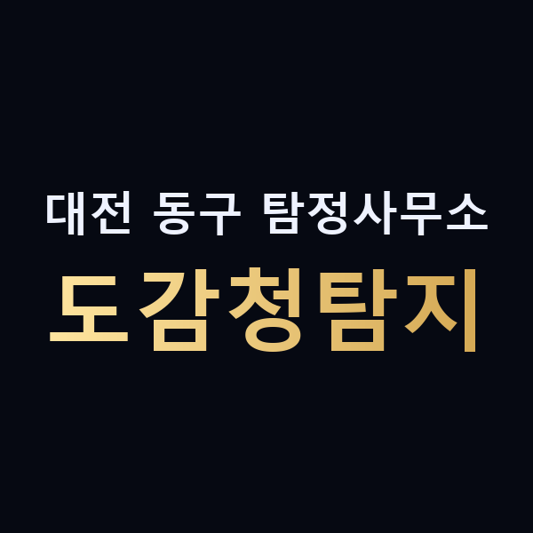 대전 동구 탐정사무소 도감청탐지 맥가이버