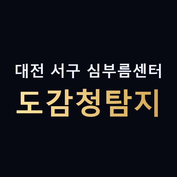 대전 서구 심부름센터 도감청탐지 맥가이버