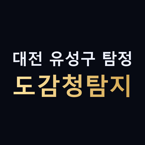 대전 유성구 탐정 도감청탐지 맥가이버