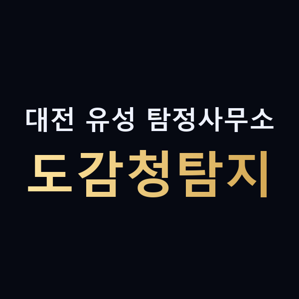 대전 유성 탐정사무소 도감청탐지 맥가이버
