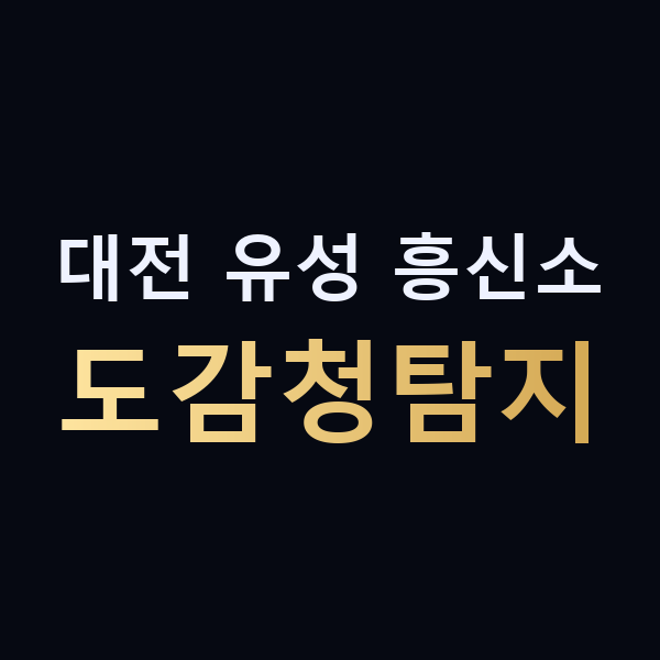 대전 유성 흥신소 도감청탐지 맥가이버