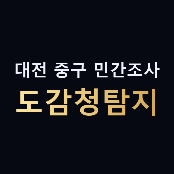 대전 중구 민간조사 도감청탐지 맥가이버