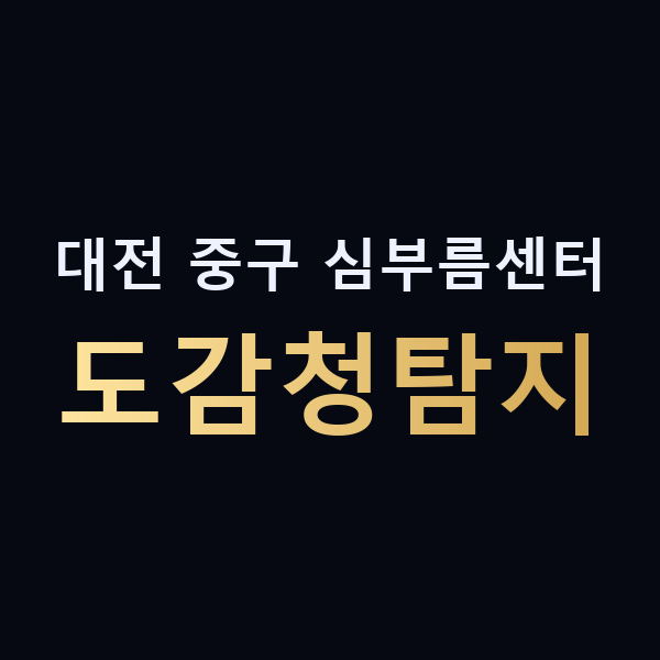 대전 중구 심부름센터 도감청탐지 맥가이버