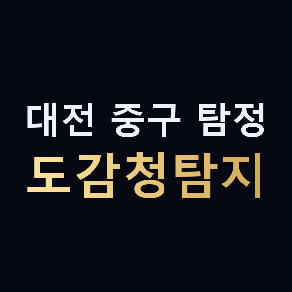 대전 중구 탐정 도감청탐지 맥가이버