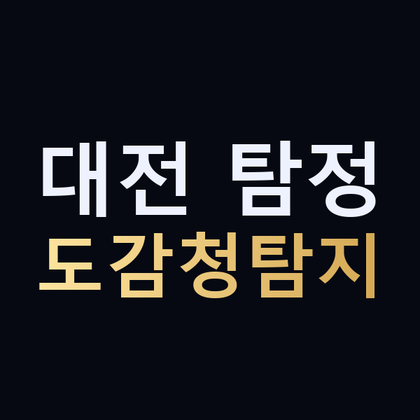 대전 탐정 도감청탐지 맥가이버