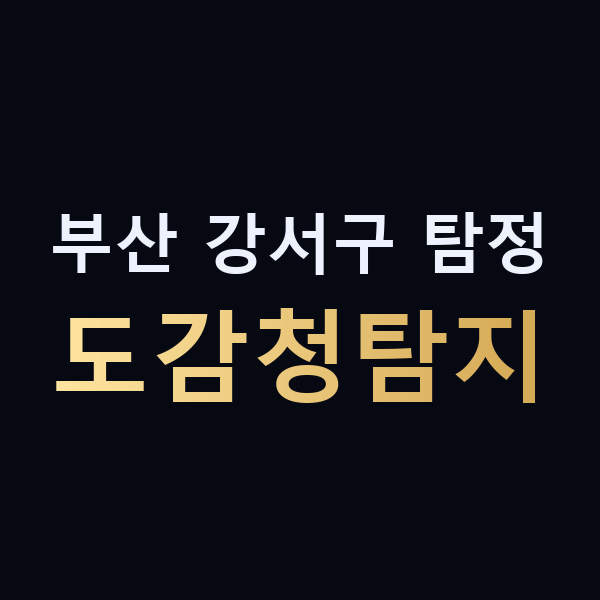 부산 강서구 탐정 도감청탐지 맥가이버