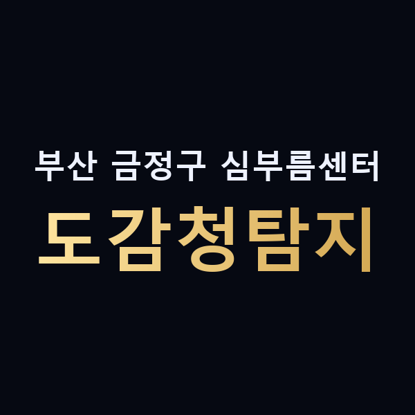 부산 금정구 심부름센터 도감청탐지 맥가이버