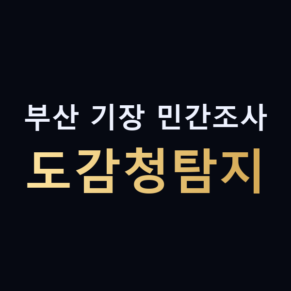 부산 기장 민간조사 도감청탐지 맥가이버