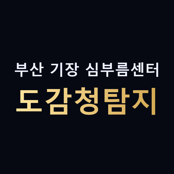 부산 기장 심부름센터 도감청탐지 맥가이버