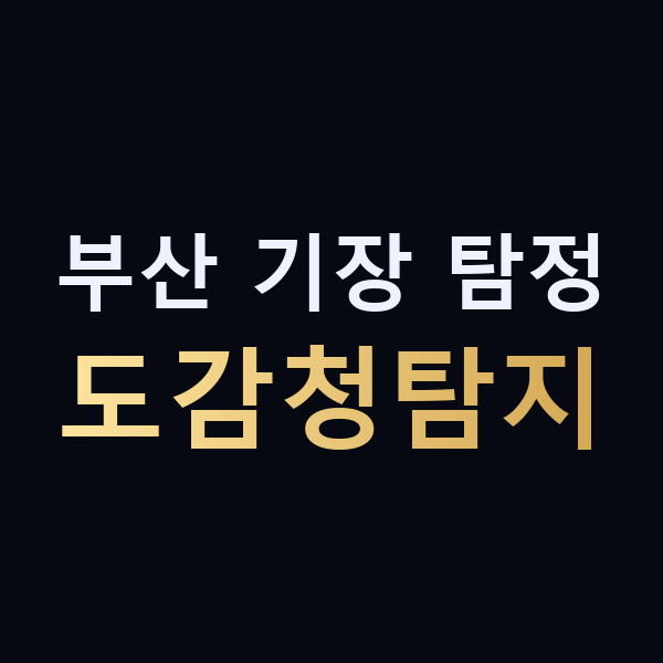 부산 기장 탐정 도감청탐지 맥가이버