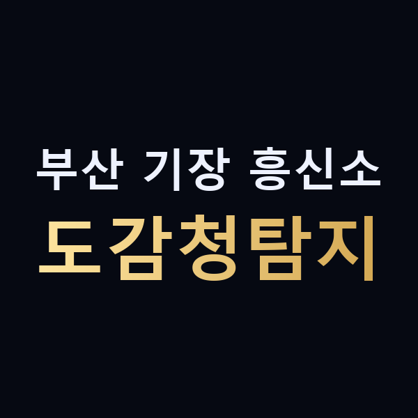 부산 기장 흥신소 도감청탐지 맥가이버