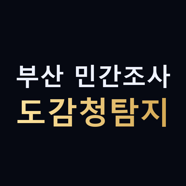 부산 민간조사 도감청탐지 맥가이버