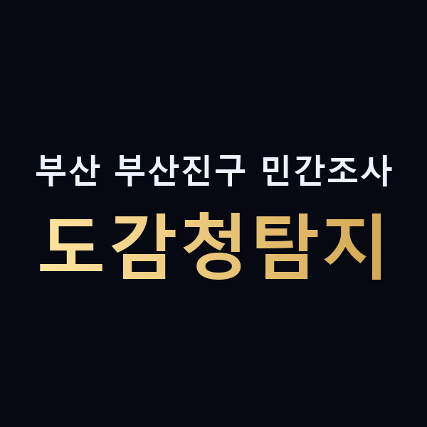 부산 부산진구 민간조사 도감청탐지 맥가이버