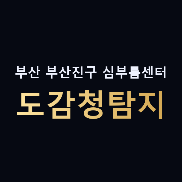 부산 부산진구 심부름센터 도감청탐지 맥가이버