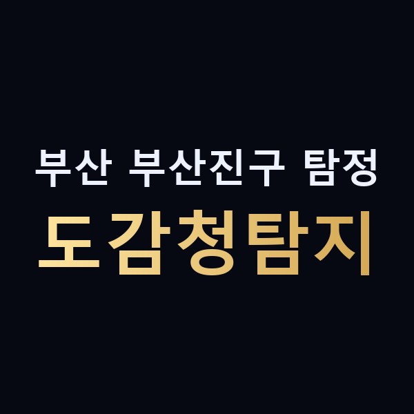 부산 부산진구 탐정 도감청탐지 맥가이버