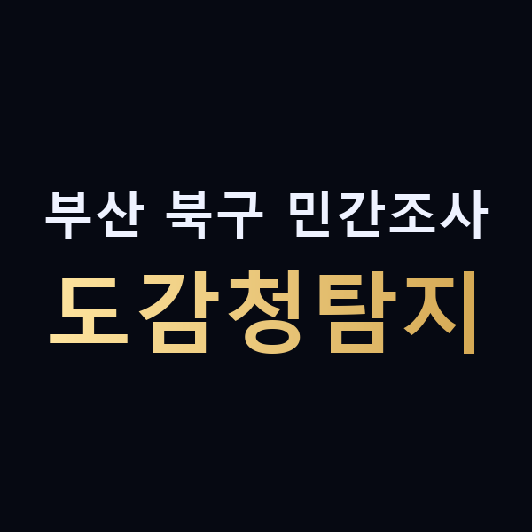 부산 북구 민간조사 도감청탐지 맥가이버