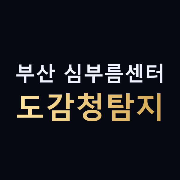 부산 심부름센터 도감청탐지 맥가이버