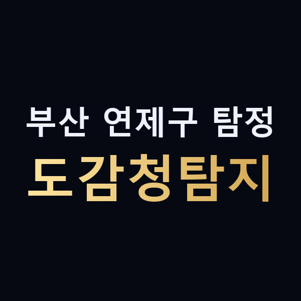 부산 연제구 탐정 도감청탐지 맥가이버