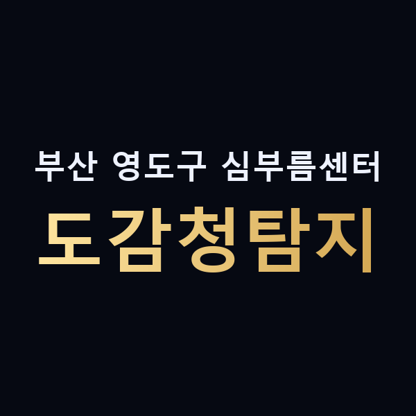 부산 영도구 심부름센터 도감청탐지 맥가이버