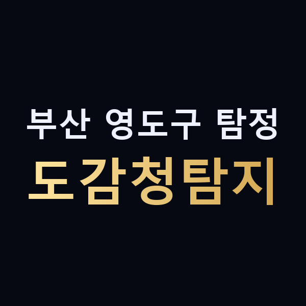 부산 영도구 탐정 도감청탐지 맥가이버