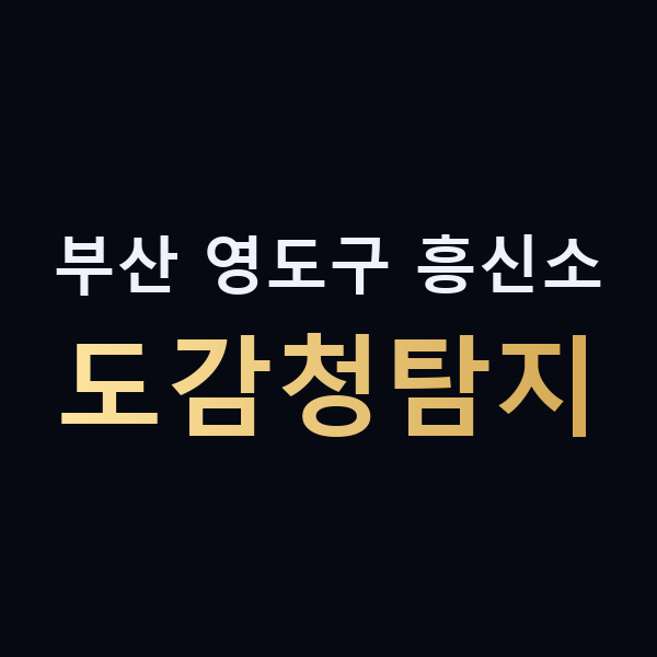 부산 영도구 흥신소 도감청탐지 맥가이버