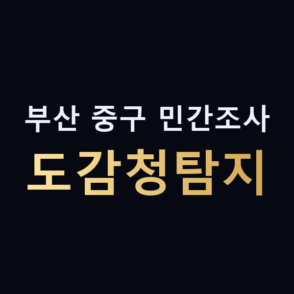 부산 중구 민간조사 도감청탐지 맥가이버